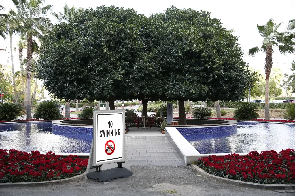 Windpro Plus kullanım alanı (1).webp