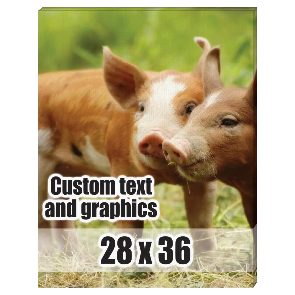 28x36 Canvas frame w/artwork