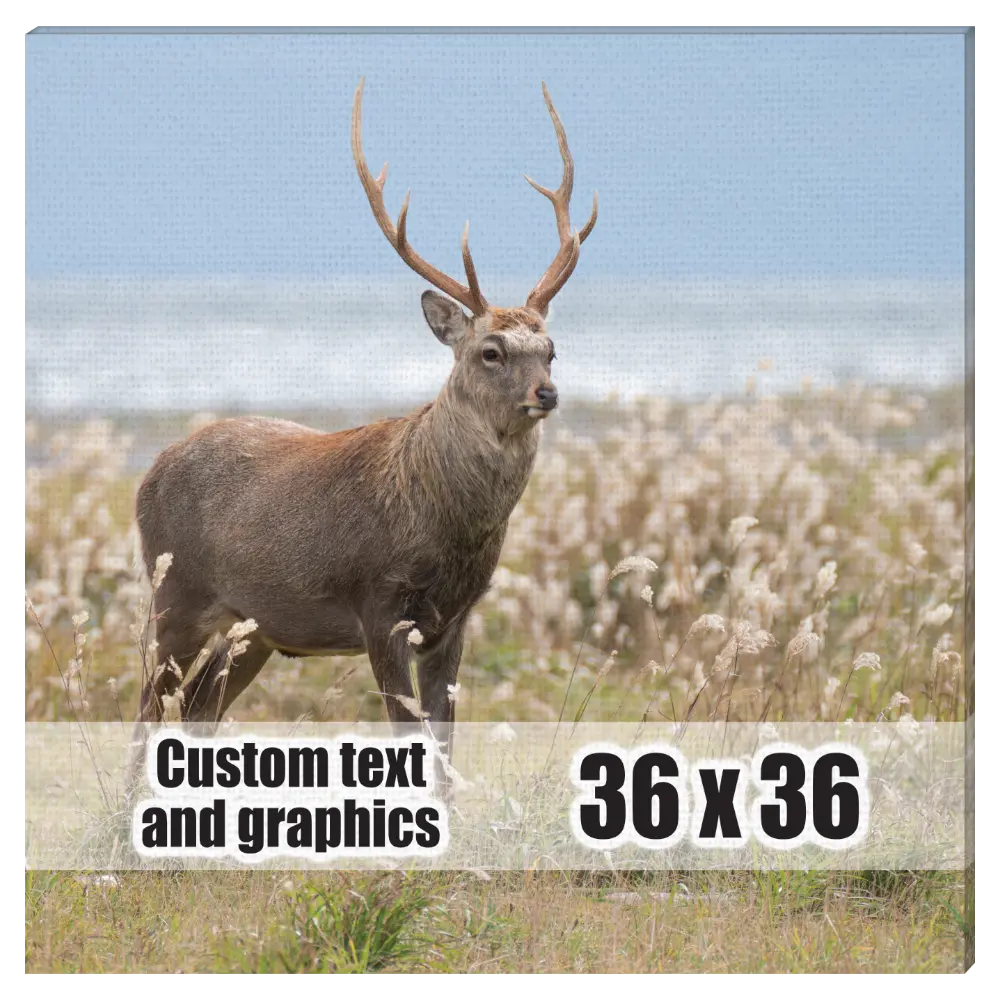 36x36 Canvas frame w/artwork