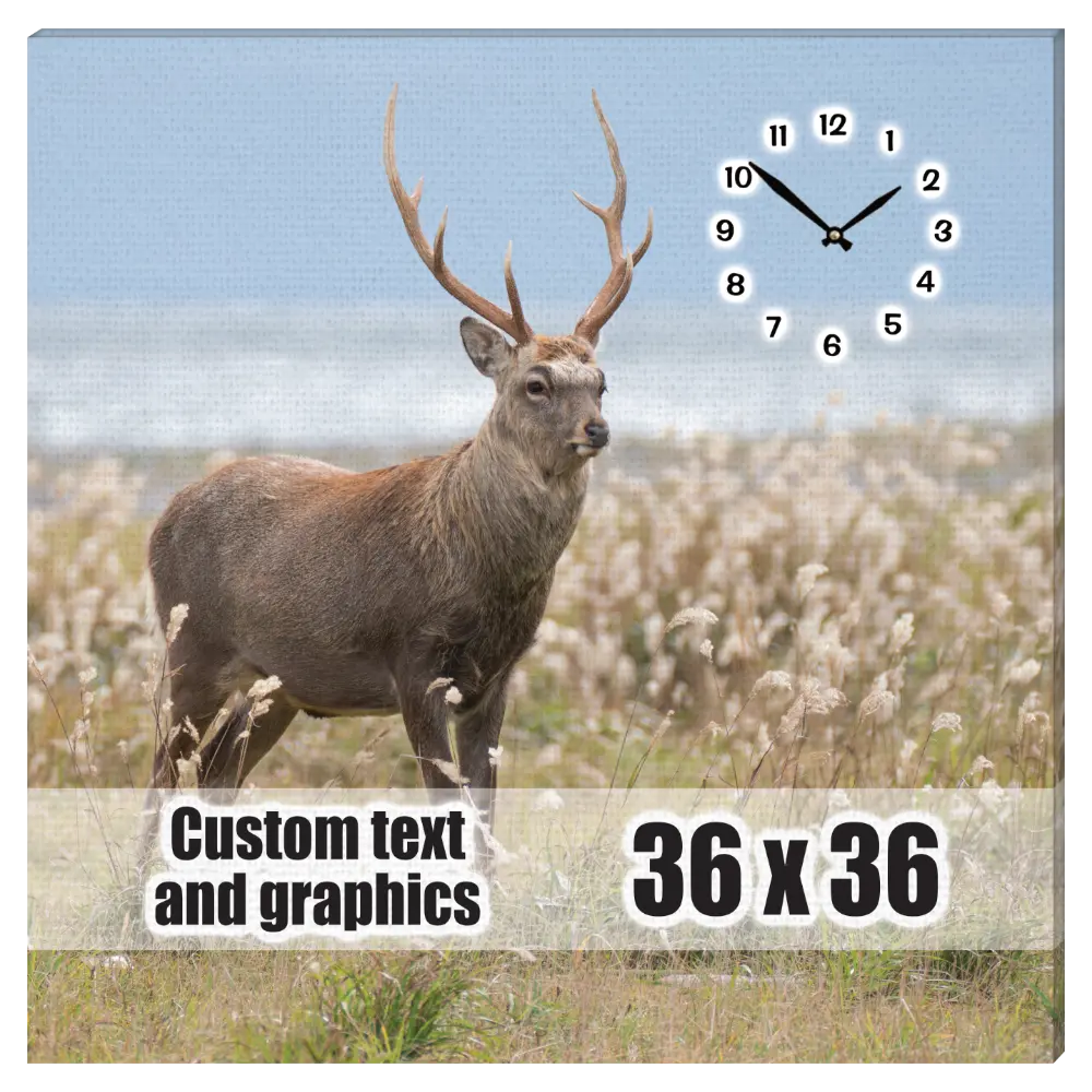 36x36 Canvas frame w/musical clock