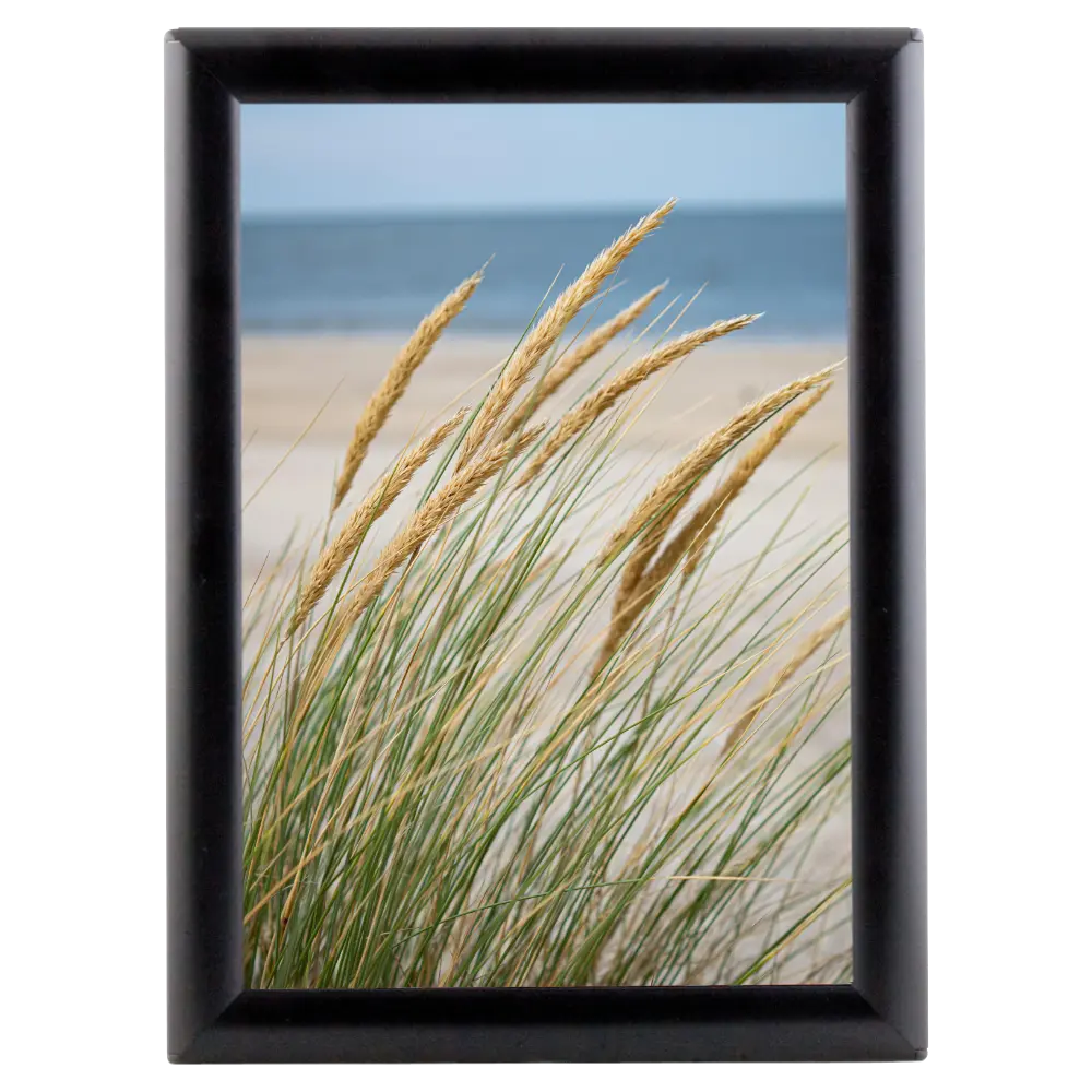Opti-small Poster frame, 8x10, 0.55" Mitered snap frame Black