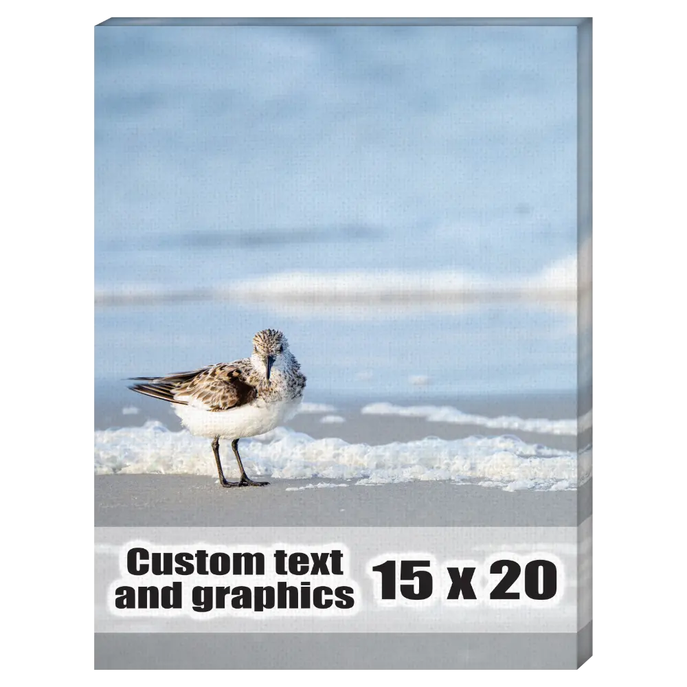 15x20 Canvas frame w/artwork