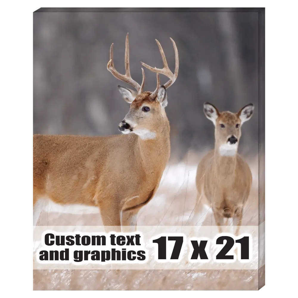 17x21 Canvas frame w/artwork