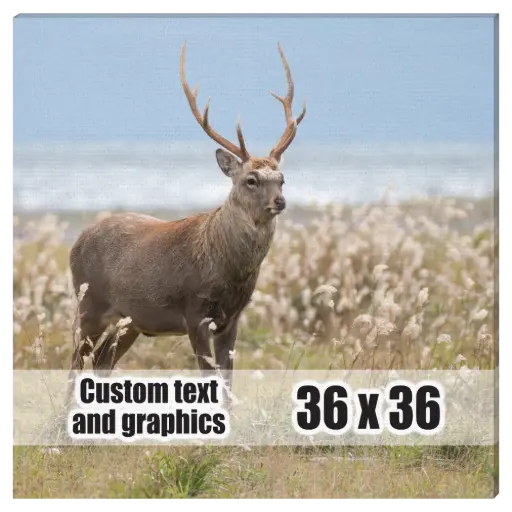 [CA3636] 36x36 Canvas frame w/artwork