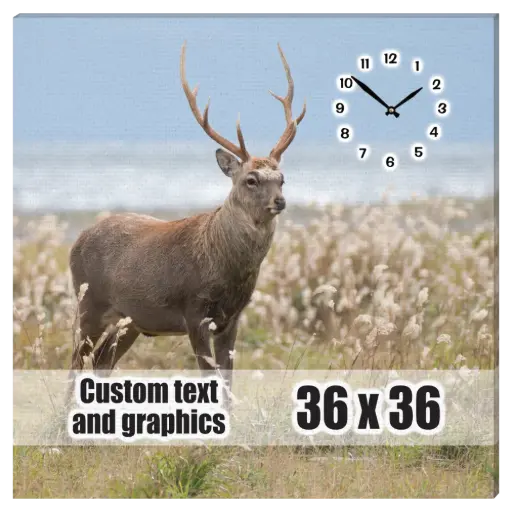 [CA3636-MS] 36x36 Canvas frame w/musical clock