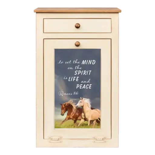 [TCBR01] Brown Trash Cabinet