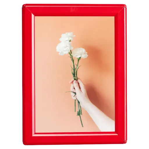 [UCP145R157X2990] Opti-small Poster frame, 5x7, 0.55" Mitered snap frame Red