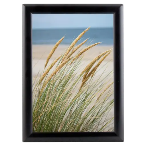 [UCP255B017X2990] Opti Poster frame, 11x17, 1" Mitered snap frame Black