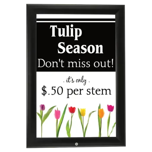 [UCV355B024X7000] Lockable Weatherproof Poster frame, 24x36, 1.38" Mitered snap frame Black