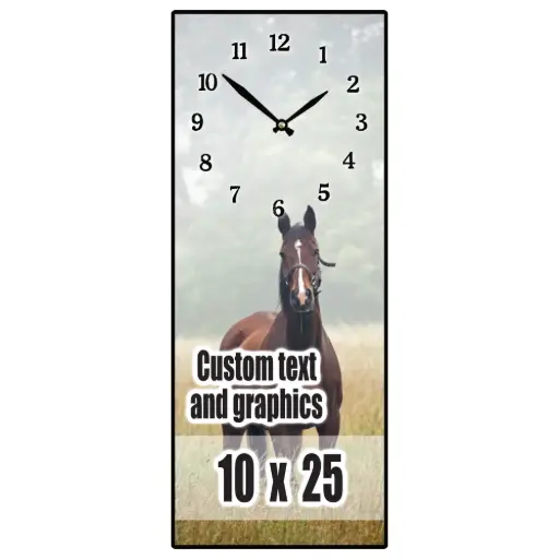 PL1025-MS