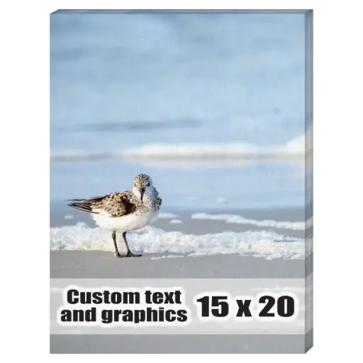 [CA1520] 15x20 Canvas frame w/artwork