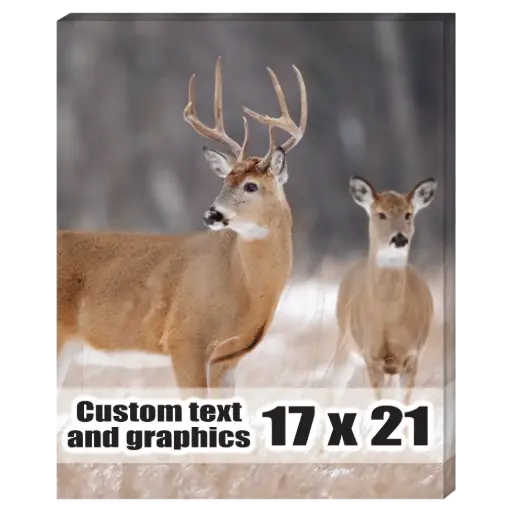 [CA1721] 17x21 Canvas frame w/artwork